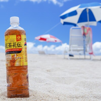 【沖縄限定!】紅茶花伝ガーデンレモンティー 950ml×12本