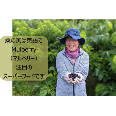 沖縄ナンデンシー(500ml×2本)