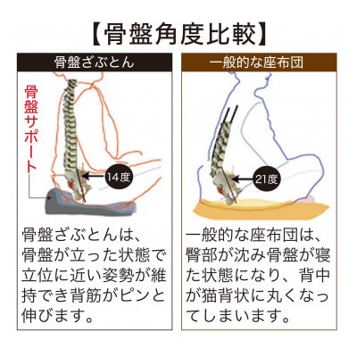 【人間工学/正しい姿勢・骨盤サポート】　骨盤ざぶとん　カラー:ネイビー
