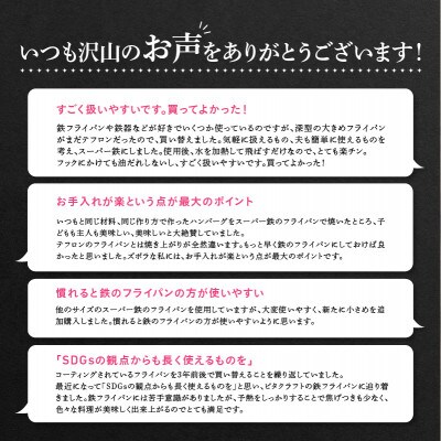 ビタクラフト スーパー鉄 フライパン28cm(フライパンカバー L 付き)