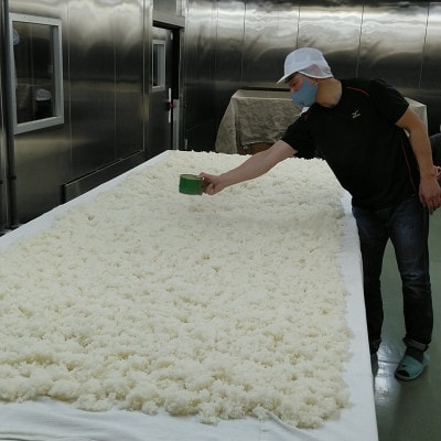 東大阪産の米(雄町)が原料の日本酒 1800ml瓶 ラベル(表)トライくん(裏)花園ラグビー場ロゴ