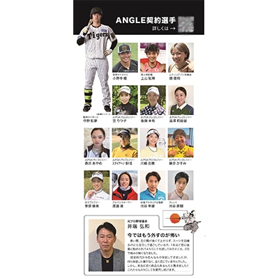 医療機器　アングル e.モデル　02ネックレス【ゴールドLサイズ】　日本代表の中野拓夢選手も愛用!!