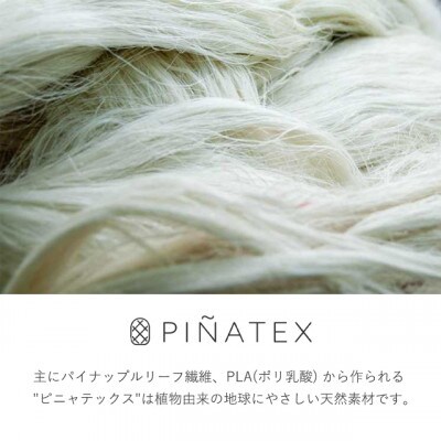 【東大阪ブランド】パイナップルからできたキーケース インディゴブルー【PINAMORE】