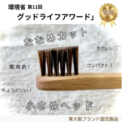 自然に還る歯ブラシ 「 t u r a l i s t 」 歯ブラシスタンドセット(毛の硬さ:普通)