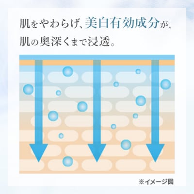 フジナ エクセレントホワイト <導入化粧水>[医薬部外品]