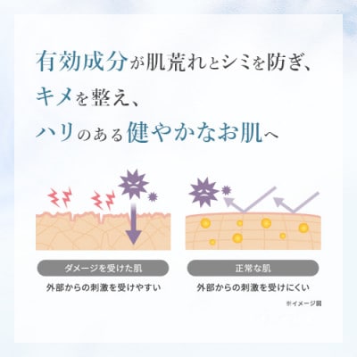 フジナ エクセレントホワイト <化粧水>[医薬部外品]