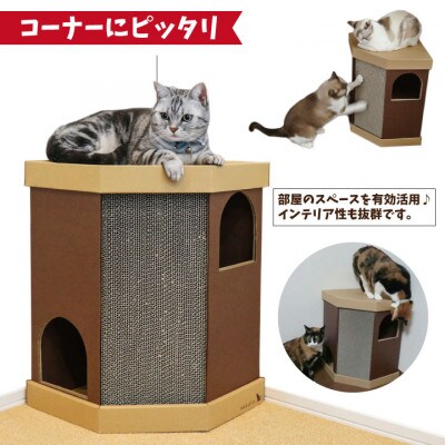 nekoto_コーナースクラッチハウス