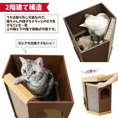 nekoto_コーナースクラッチハウス