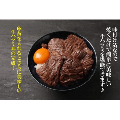 【訳アリ】厚切り牛ハラミステーキ　300g×2パック