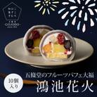 《10個入り》五條堂(GOJODO)のフルーツパフェ大福「鴻池花火」　ーこころはずむ和菓子ー