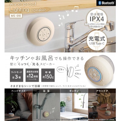 ウォータープルーフライティングスピーカーMS-010