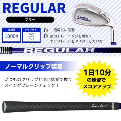 [ブルー/ノーマルグリップ][右利き]オンプレーンマスター 素振り練習用アイアン(レギュラー)