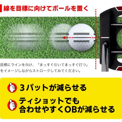 【さとふる限定】2ダース(24球)ホワイト 4面アライメント 新品ゴルフボール FLIT BOX