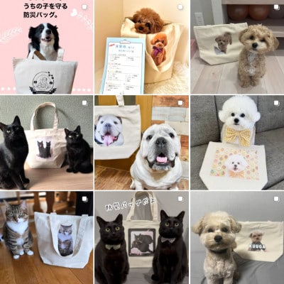 【ペット写真プリント付】ペット用防災バッグ(ペット防災基本ガイド&非常時持ち物チェックリスト同梱)