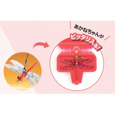 あかねちゃん (安全ピンタイプ)1個　(ストラップタイプ)1個　(専用ケース)1個