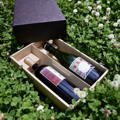 WINERY JUN【福島の恵み　りんごとぶどう酒(Bセット)】750ml×2本