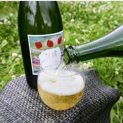 WINERY JUN【福島の恵み　りんごとぶどう酒(Bセット)】750ml×2本