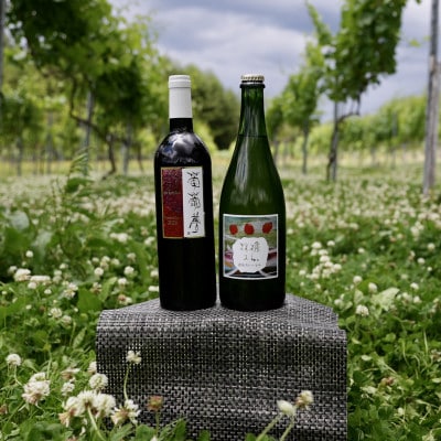 WINERY JUN【福島の恵み　りんごとぶどう酒(Aセット)】750ml×2本