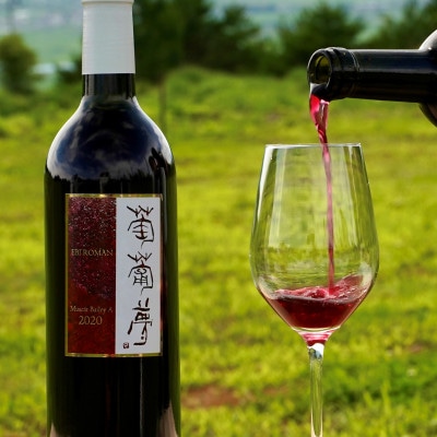 WINERY JUN【福島の恵み　ワイン葡萄夢飲み比べセット】750ml×2本