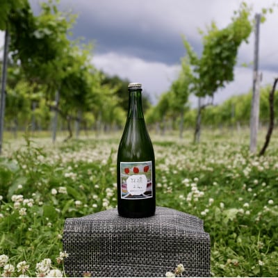 WINERY JUN【喜多方シードル2023】750ml×1本
