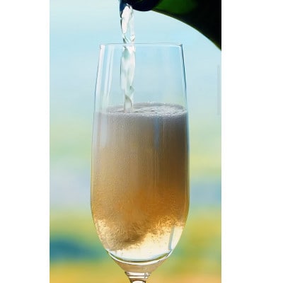WINERY JUN【喜多方シードル2024】750ml×1本