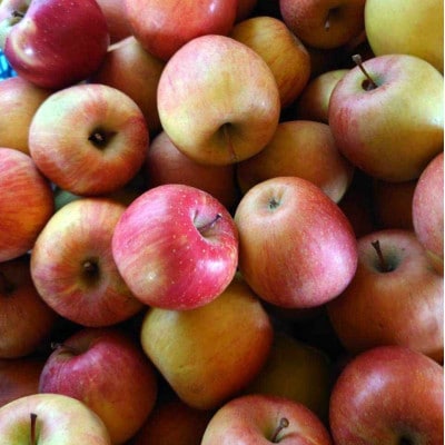 WINERY JUN【喜多方シードル2024】750ml×2本セット