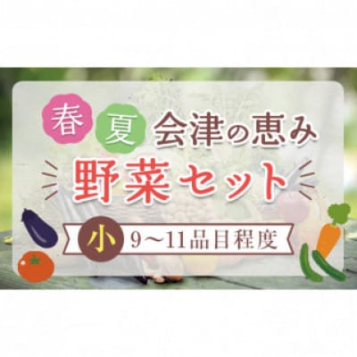 会津の恵み野菜セット(小・春夏)9～11品目(2名様1週間分相当)【07208-0256】