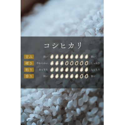 令和6年産会津喜多方産コシヒカリ 5kg×2袋 | 福島県喜多方市