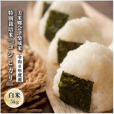 令和6年度産　美米郷会津柴城米　特別栽培米コシヒカリ　白米　5kg