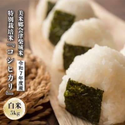令和7年度産　美米郷会津柴城米　特別栽培米コシヒカリ　白米　5kg