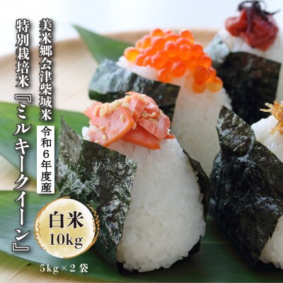 令和6年度産　美米郷会津柴城米　特別栽培米ミルキークイーン　白米　5kg×2袋