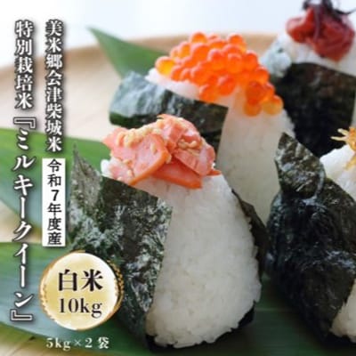 令和7年度産　美米郷会津柴城米　特別栽培米ミルキークイーン　白米　5kg×2袋