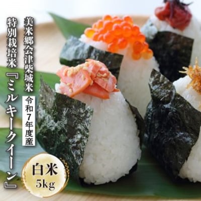令和7年度産　美米郷会津柴城米　特別栽培米ミルキークイーン　白米　5kg