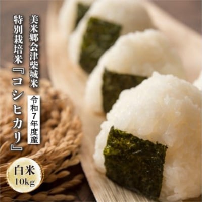 令和7年度産　美米郷会津柴城米　特別栽培米コシヒカリ　白米　10kg