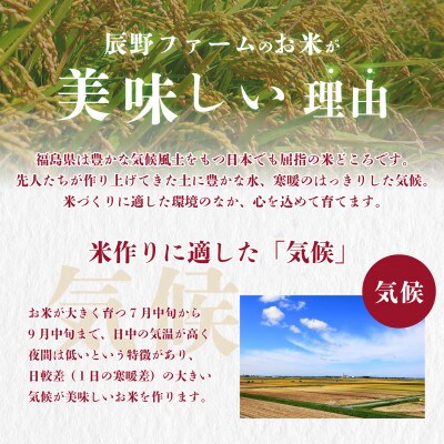 令和6年度産　美米郷会津柴城米　特別栽培米コシヒカリ　白米　10kg
