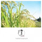 令和7年産　熱塩加納産いのちのお米 精米 5kg
