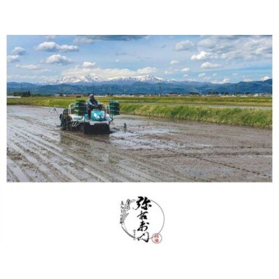 雪蔵銀ぴか米コシヒカリ　精米　3kg