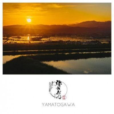 【毎月定期便】雪蔵銀ぴか米ミルキークイーン　精米10kg全6回