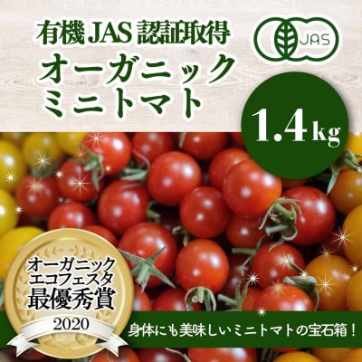 有機ミニトマト宝石箱ギフトセット(バリュー)産地直送 オーガニック 野菜