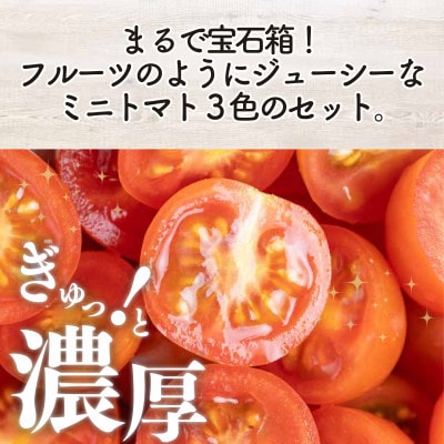 有機ミニトマト宝石箱ギフトセット(バリュー)産地直送 オーガニック 野菜