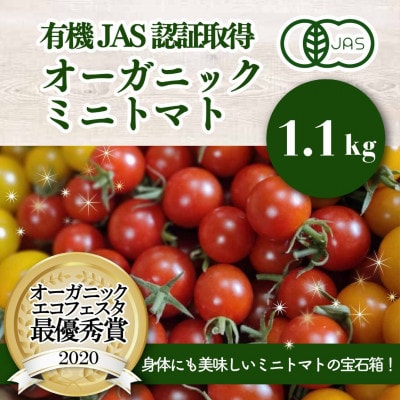 有機ミニトマト宝石箱ギフトセット(スタンダード)産地直送 オーガニック 野菜