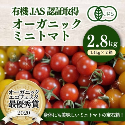 有機ミニトマト宝石箱ギフトセット(2箱セット)産地直送 オーガニック 野菜