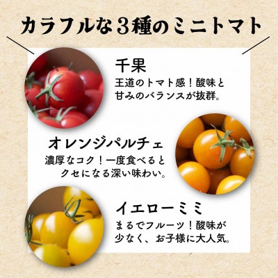 有機ミニトマト宝石箱ギフトセット(2箱セット)産地直送 オーガニック 野菜