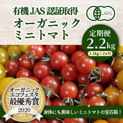 【発送月固定定期便】有機ミニトマト宝石箱ギフトセット全2回