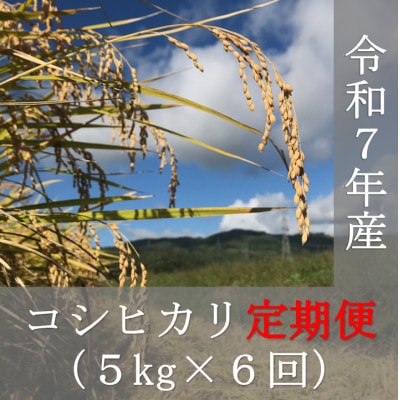 【毎月定期便】福島県喜多方市産コシヒカリ精米5kg全6回