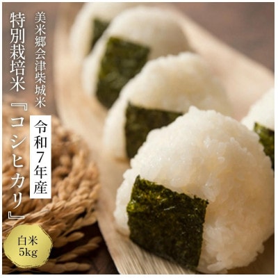 令和7年産　美米郷会津柴城米　特別栽培米コシヒカリ　白米　5kg