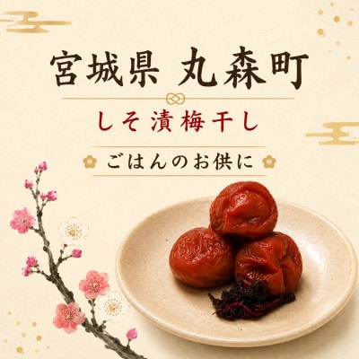 〔おふくろさんの味〕手づくり梅ぼし800g