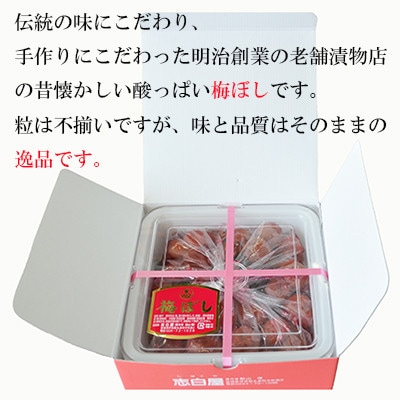 志白屋　完熟つぶれ梅700g
