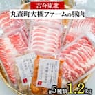 「古今東北」丸森町大槻ファームの豚肉5種類 計1.2kgセット