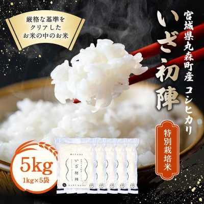 令和6年産 食味値85以上 整粒歩合80%以上のブランド米「いざ初陣」5kg(1kg×5個)